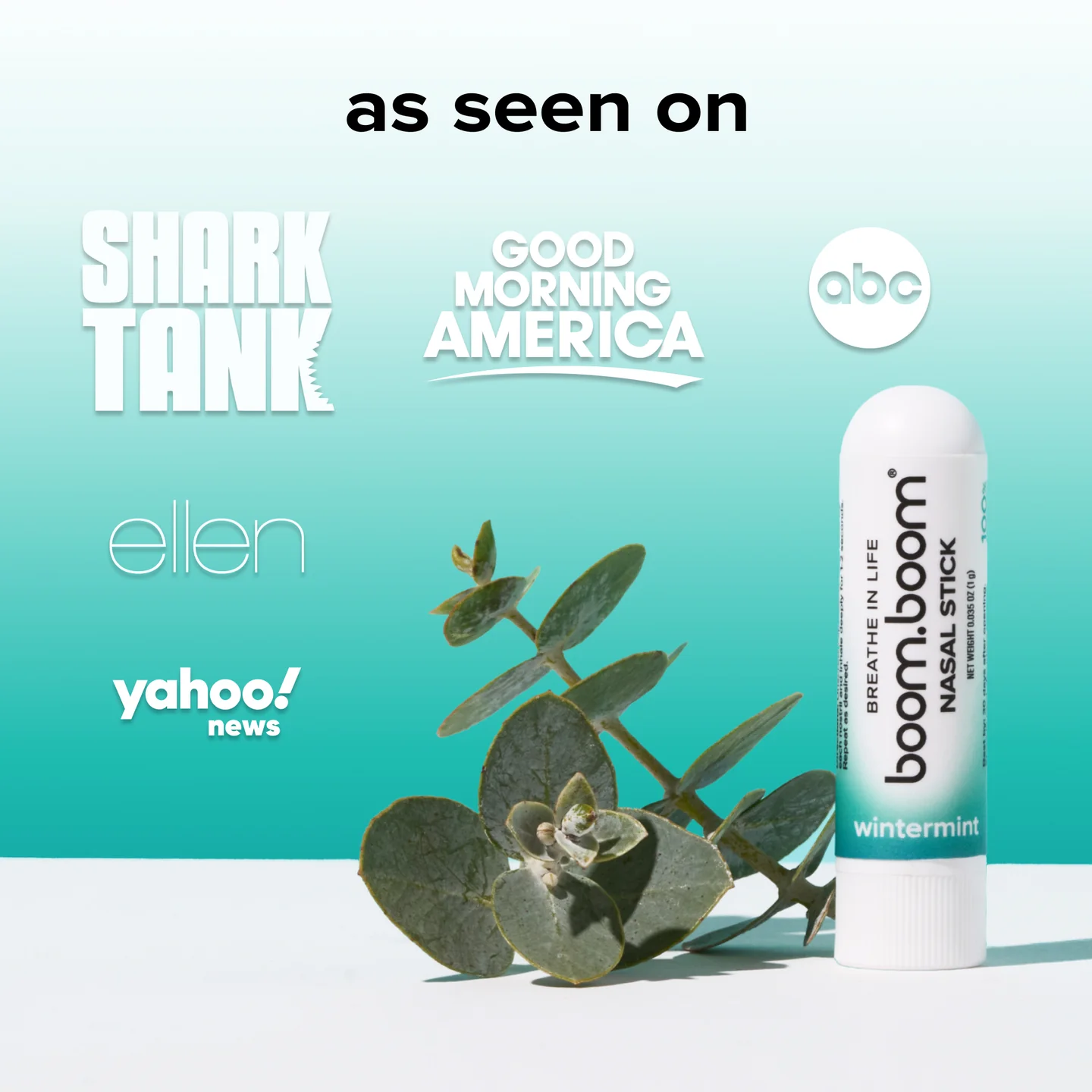 Nasal Stick (4 pack)